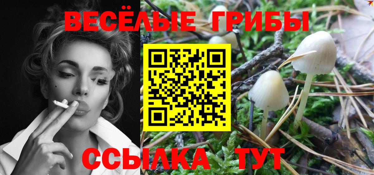 Галлюциногенные грибы мицелий Тутаев