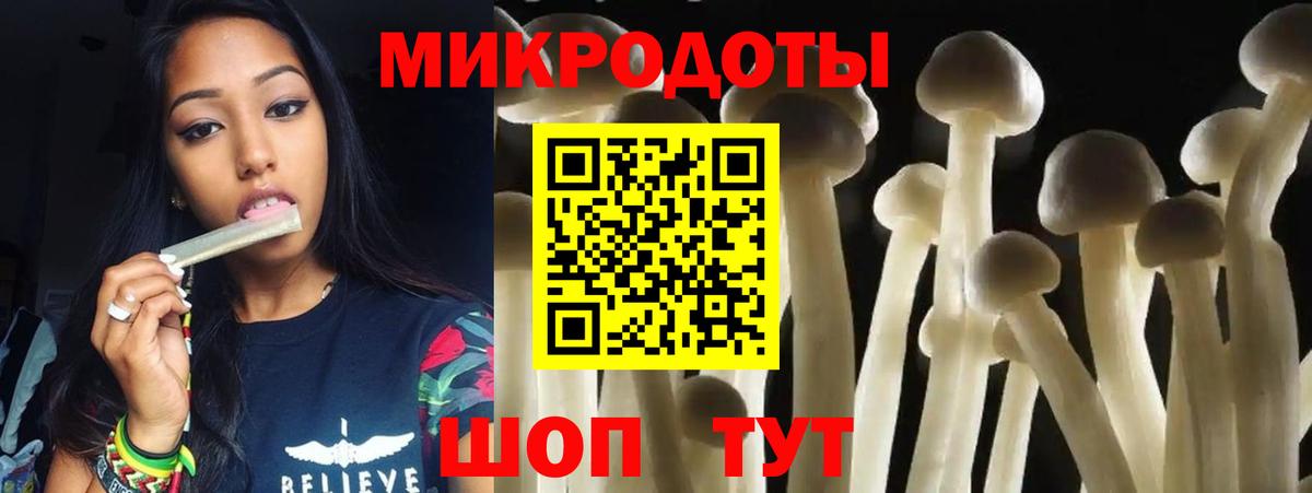 Тутаев  Псилоцибиновые грибы прущие грибы  Вход с VPN 